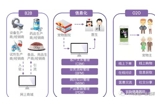 優(yōu)寵智能2021 寵物產(chǎn)品與服務的引爆點與網(wǎng)絡技術服務新路徑